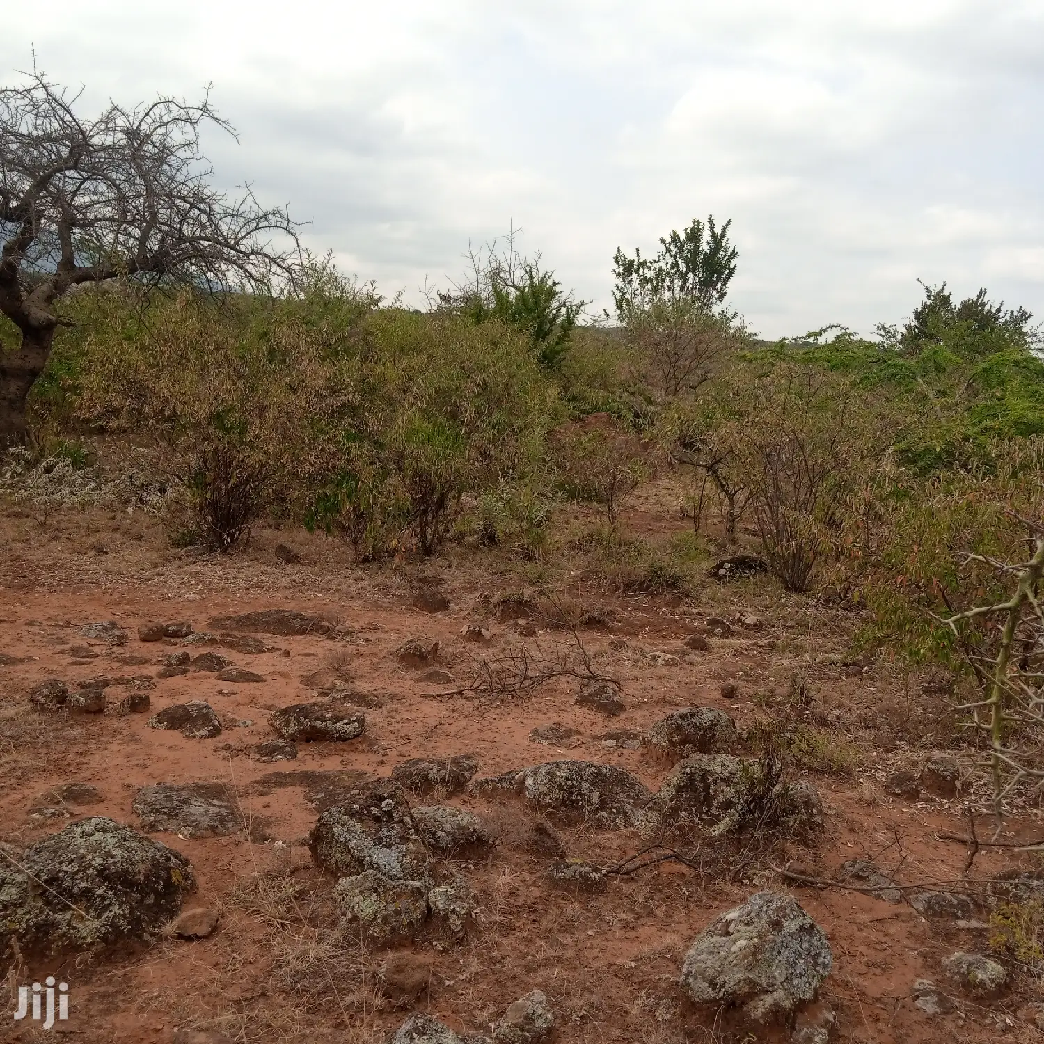 Three-Acre Plot in Oloishobor: Priced at 1.8 Million Per Acre in Kiserian