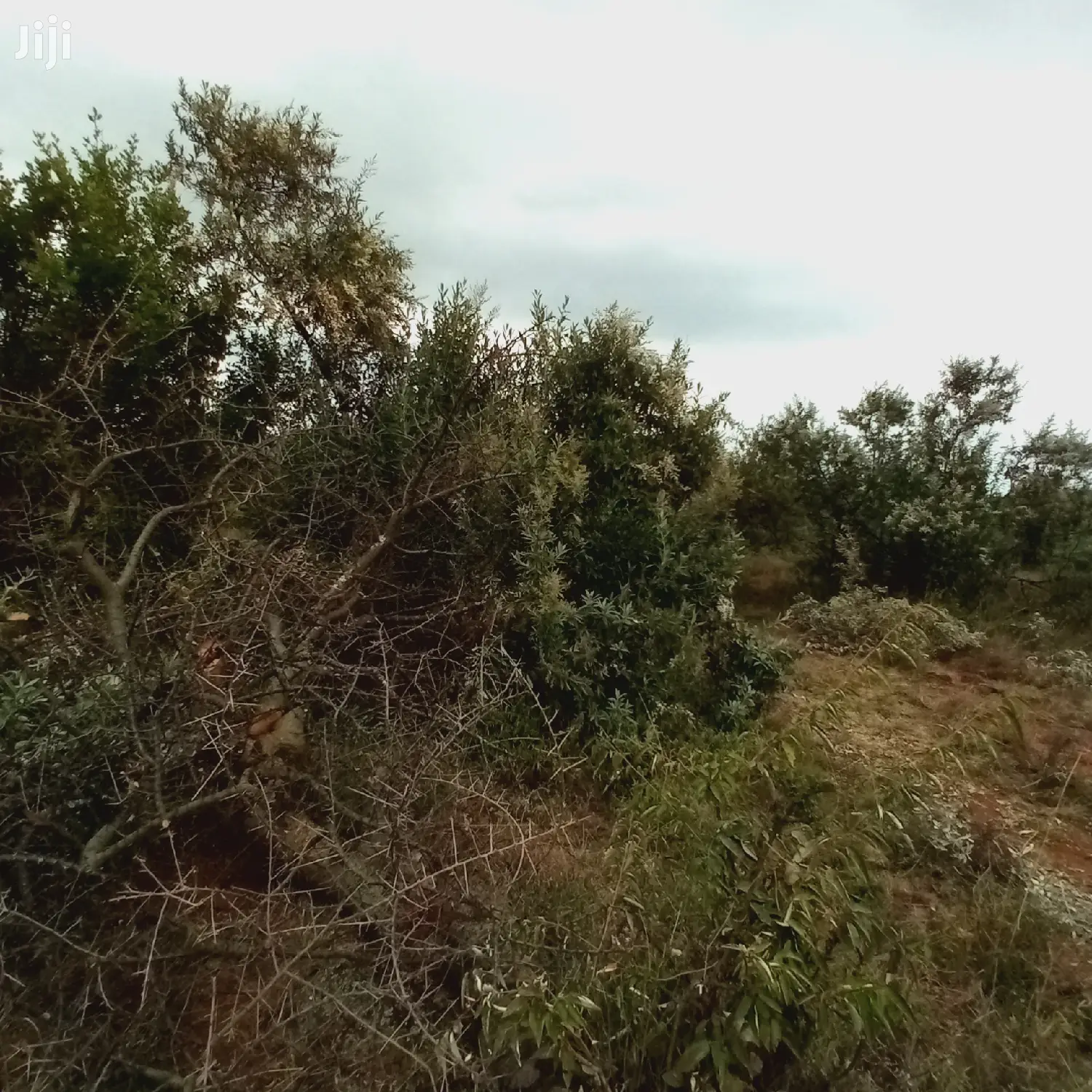 1 Acre Olkudate Farmland for Sale: 1.8 Million Per Acre - Don't Miss Out in Ngong