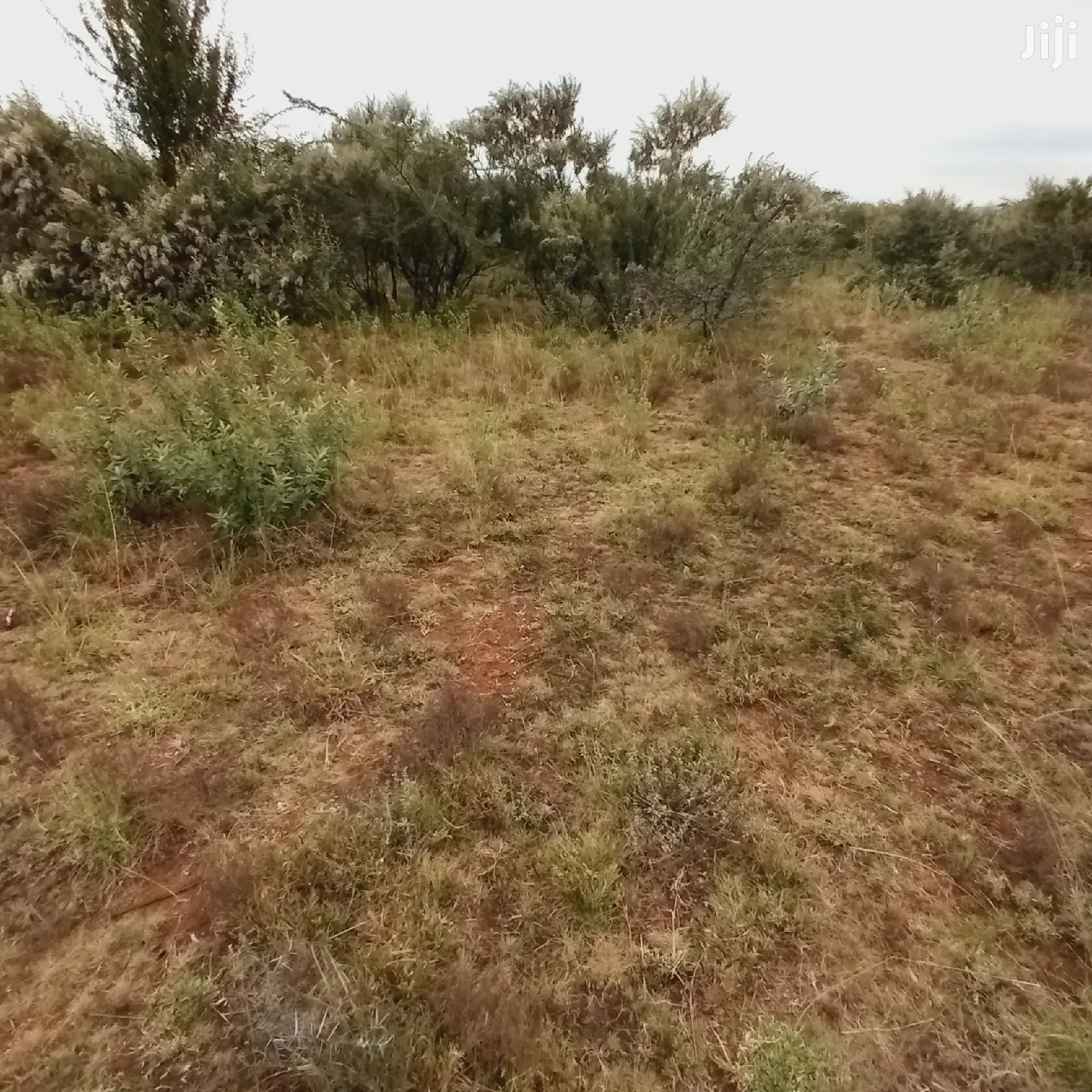 1 Acre Olkudate Farmland for Sale: 1.8 Million Per Acre - Don't Miss Out in Ngong