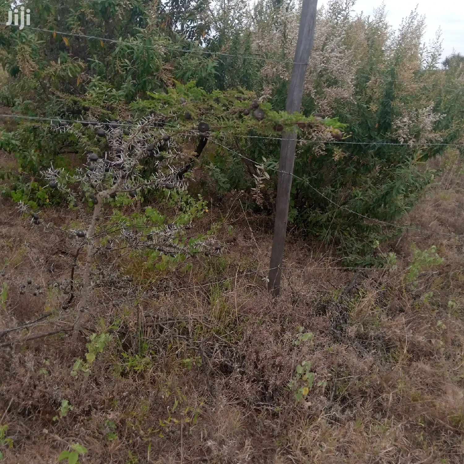 1 Acre Olkudate Farmland for Sale: 1.8 Million Per Acre - Don't Miss Out in Ngong
