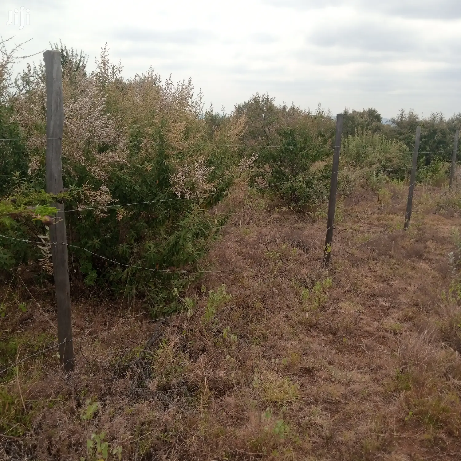 1 Acre Olkudate Farmland for Sale: 1.8 Million Per Acre - Don't Miss Out in Ngong