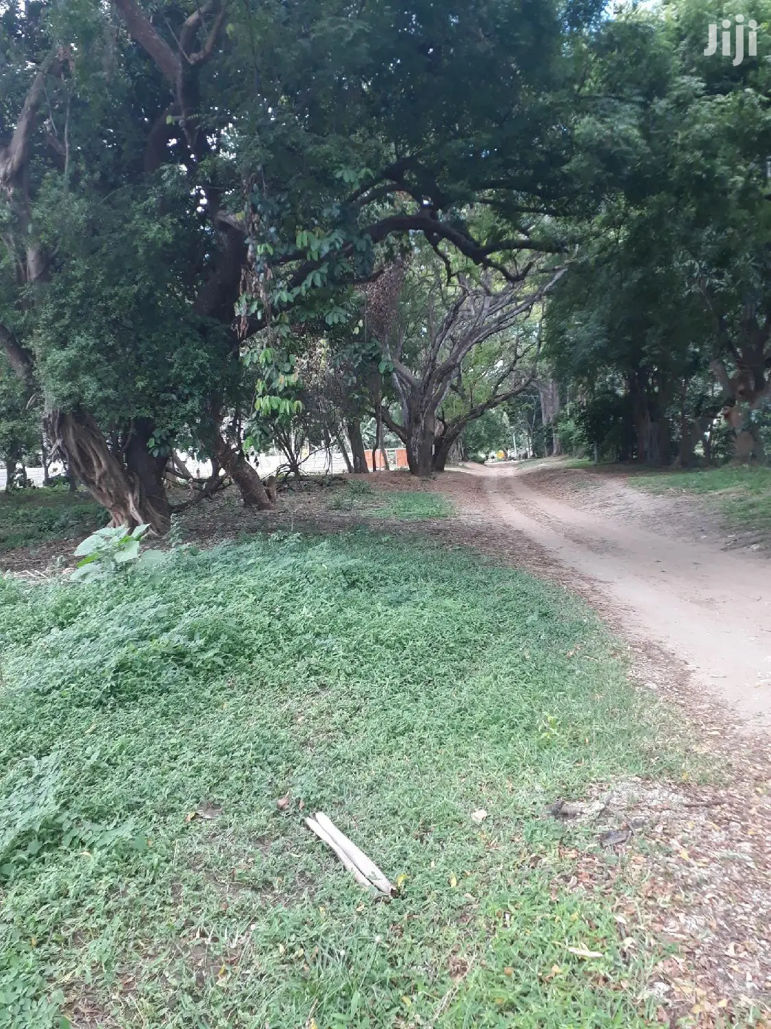 Mtwapa Beachfront Plots for Sale: 2nd Row Waterfront Property in Mtwapa