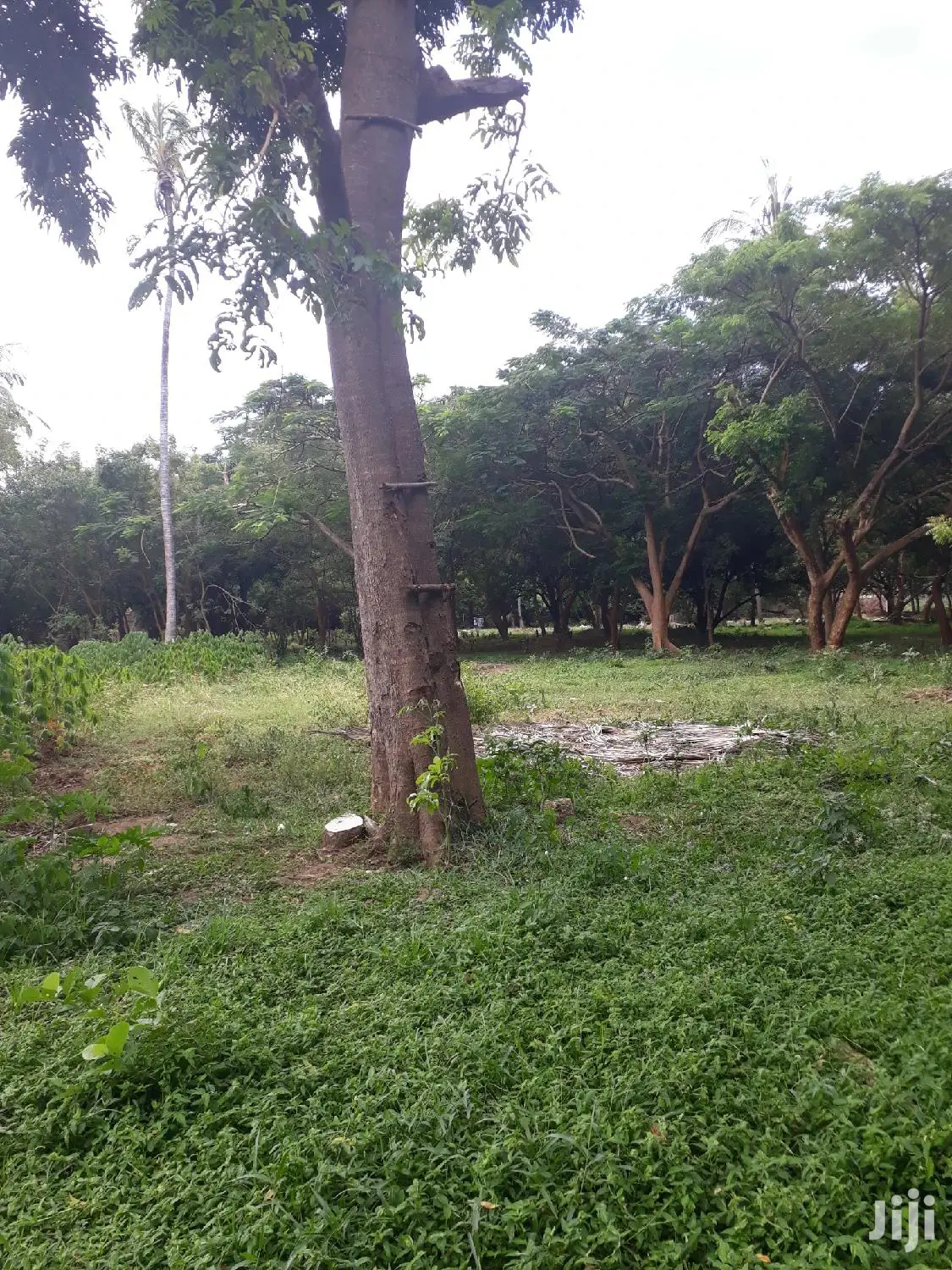 Mtwapa Beachfront Plots for Sale: 2nd Row Waterfront Property in Mtwapa