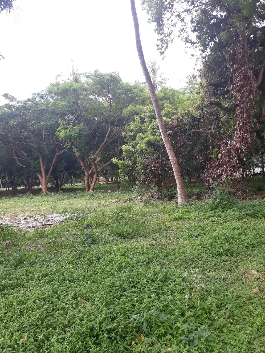 Mtwapa Beachfront Plots for Sale: 2nd Row Waterfront Property in Mtwapa
