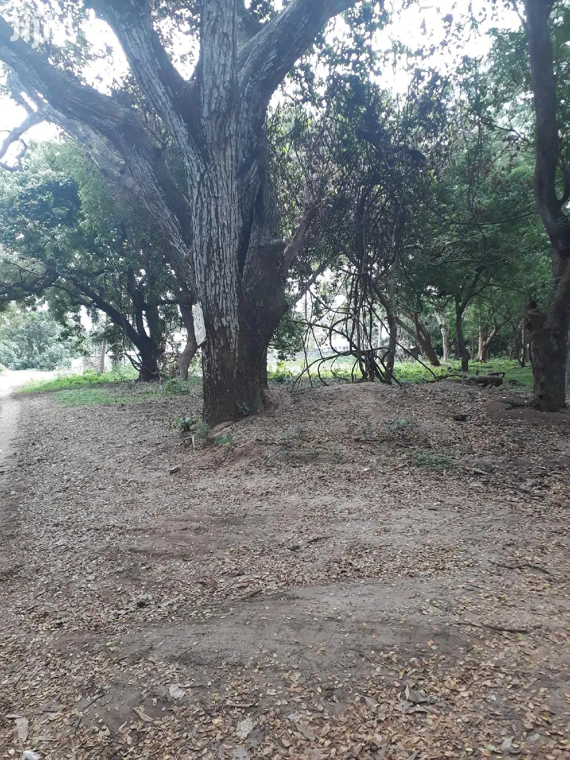 Mtwapa Beachfront Plots for Sale: 2nd Row Waterfront Property in Mtwapa