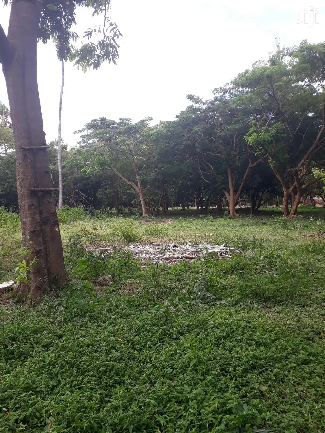 Mtwapa Beachfront Plots for Sale: 2nd Row Waterfront Property in Mtwapa