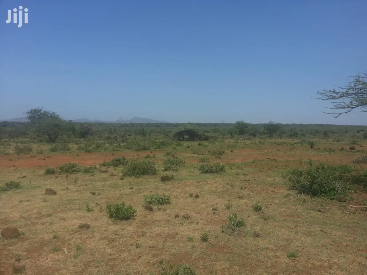 Kipeto-Kajiado's Charismatic 10 Acres Land Up for Sale in Isinya