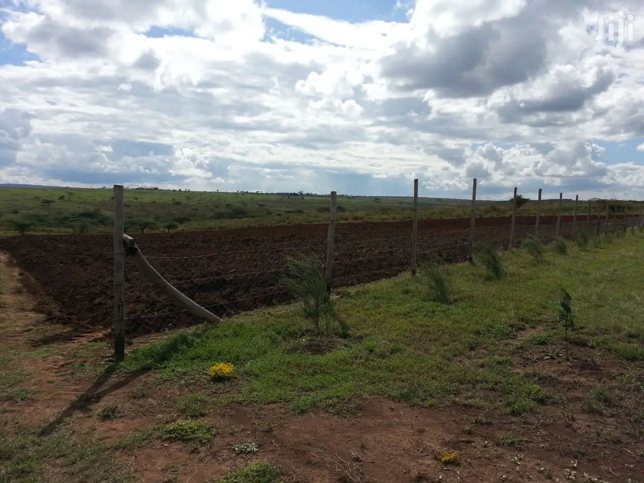 Kipeto-Kajiado's Charismatic 10 Acres Land Up for Sale in Isinya