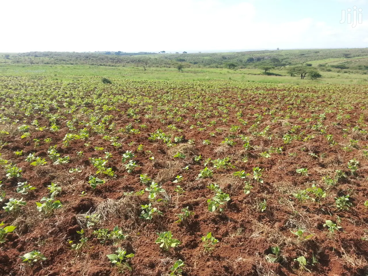 Kipeto-Kajiado's Charismatic 10 Acres Land Up for Sale in Isinya
