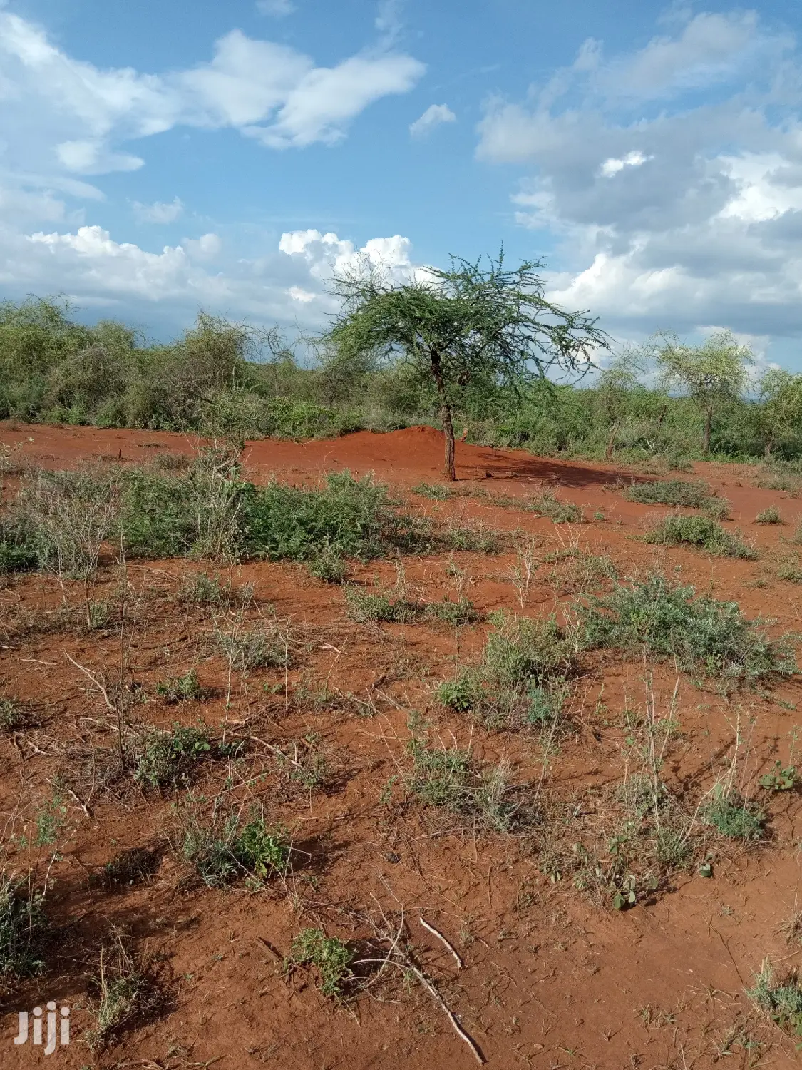 5 Acres of Farming Land in Eremit, Tinga: Quality Agricultural Investment Opportunity! in Magadi
