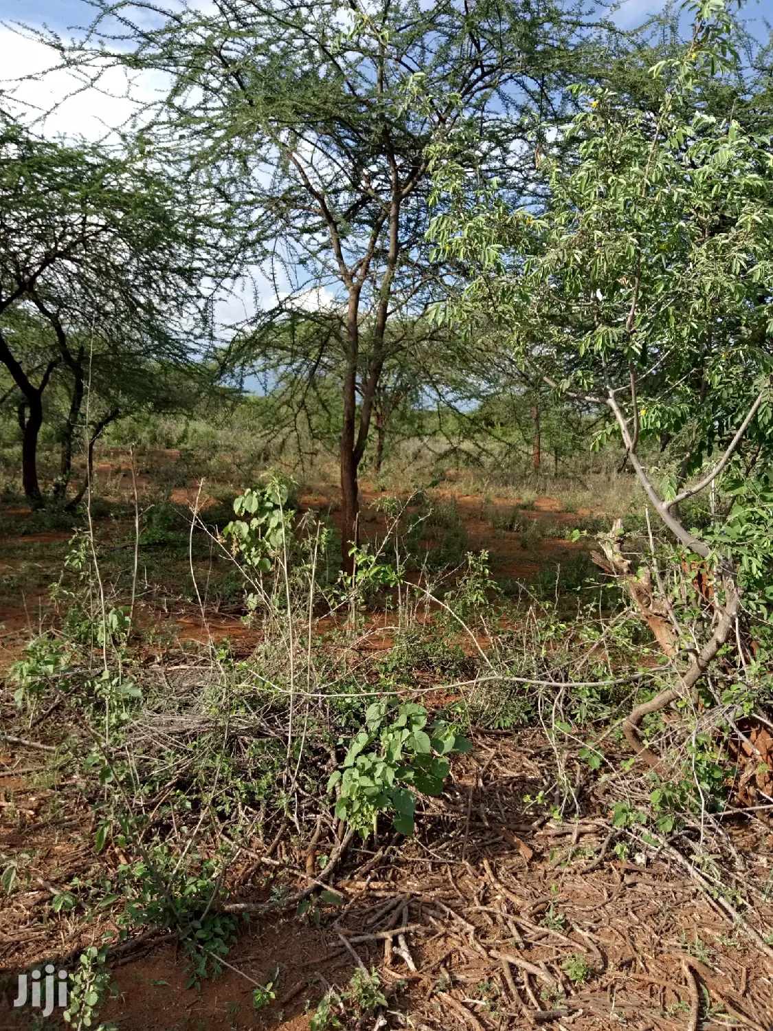 5 Acres of Farming Land in Eremit, Tinga: Quality Agricultural Investment Opportunity! in Magadi
