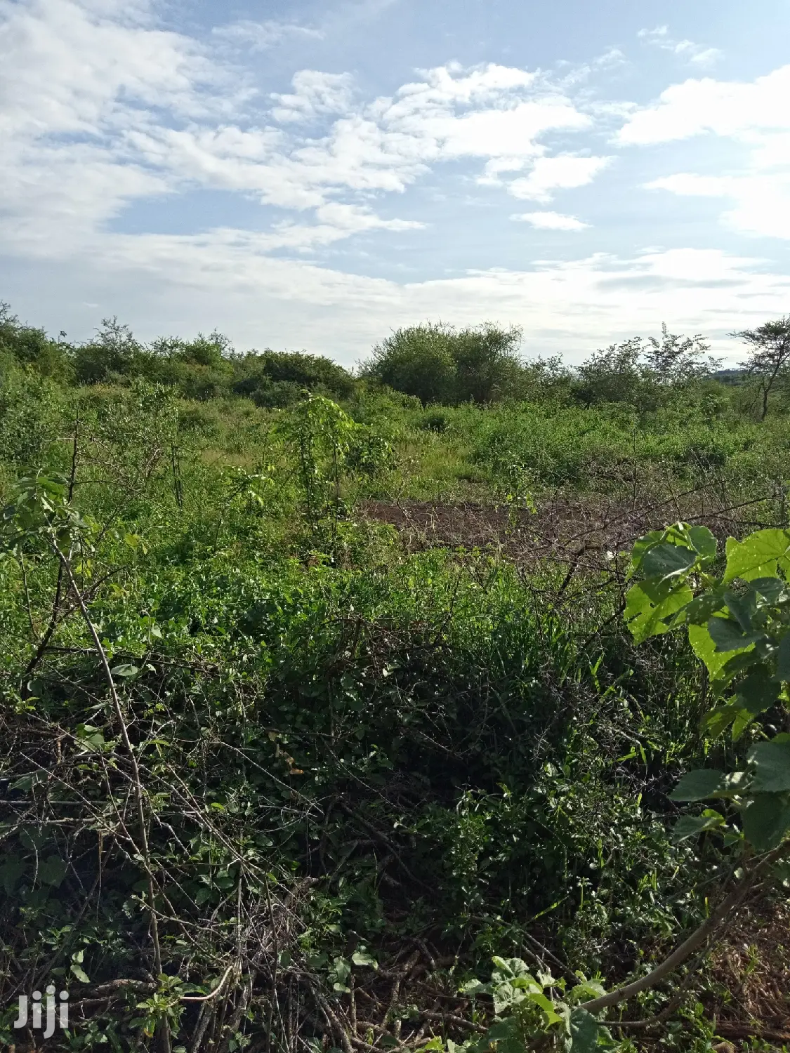 5 Acres of Farming Land in Eremit, Tinga: Quality Agricultural Investment Opportunity! in Magadi