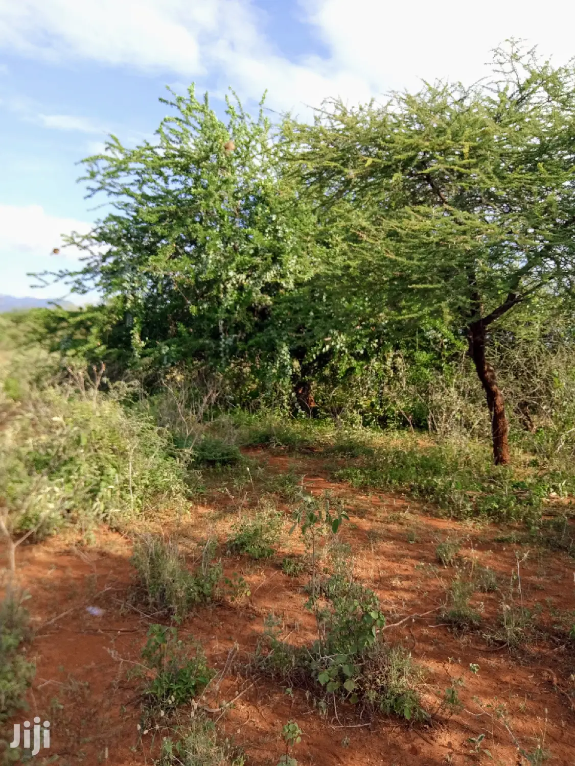 5 Acres of Farming Land in Eremit, Tinga: Quality Agricultural Investment Opportunity! in Magadi