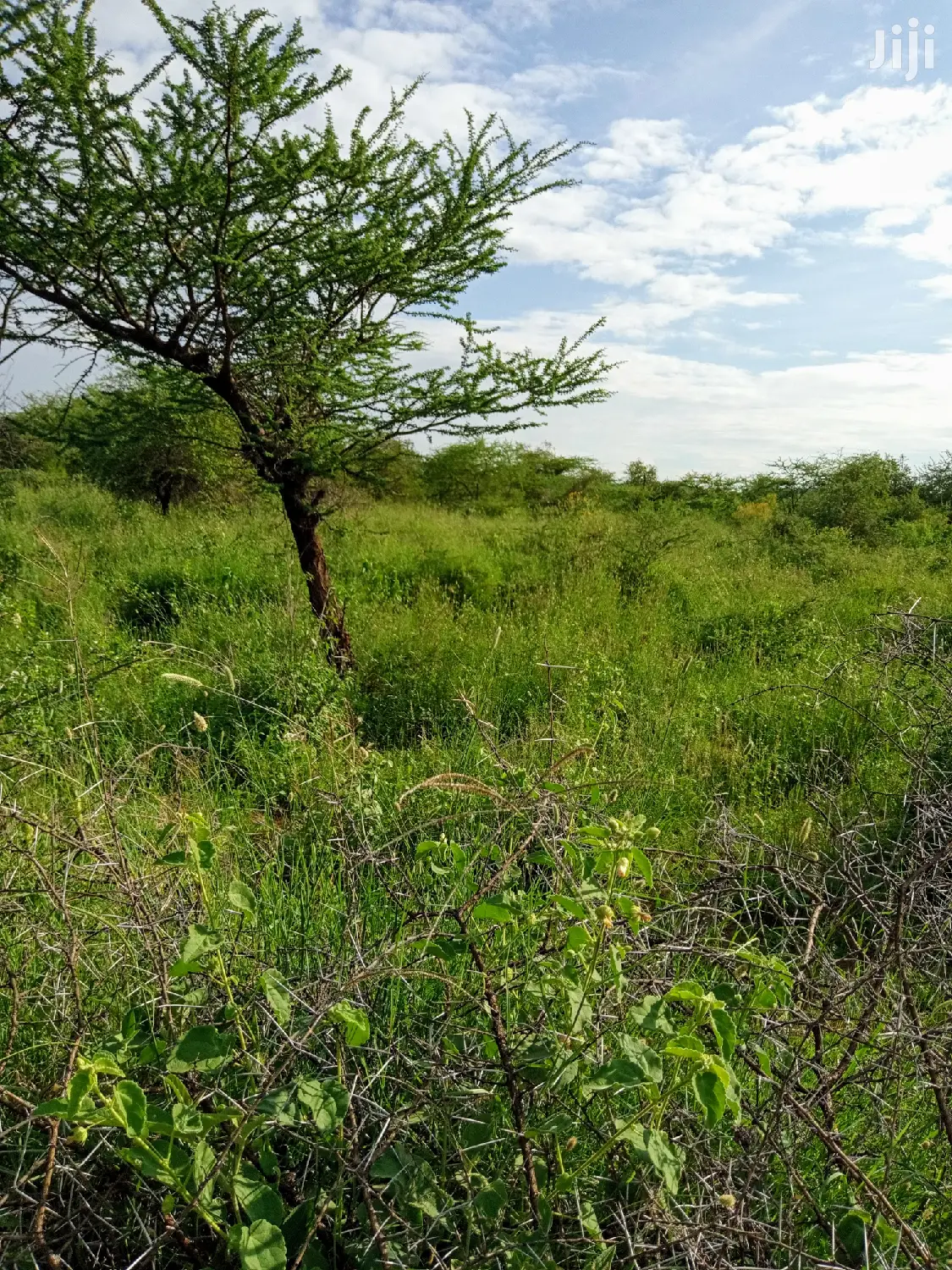 5 Acres of Farming Land in Eremit, Tinga: Quality Agricultural Investment Opportunity! in Magadi