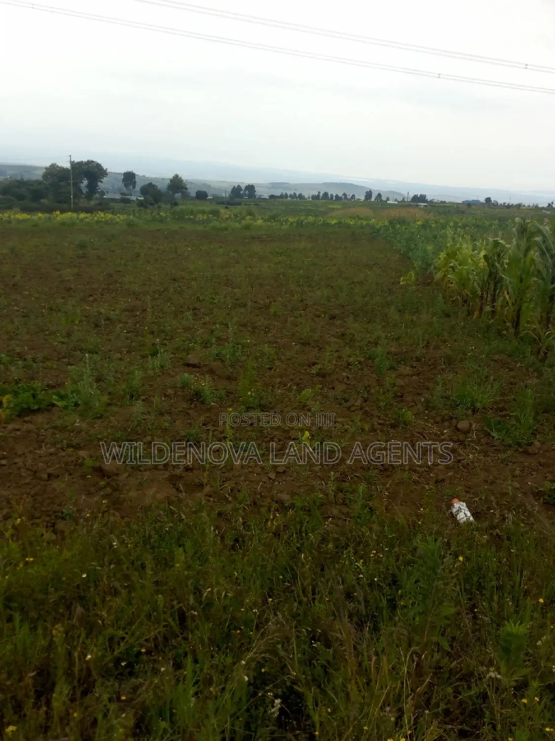 Munyu Naivasha Land for Sale - Discover Your Dream Property Today! in Naivasha