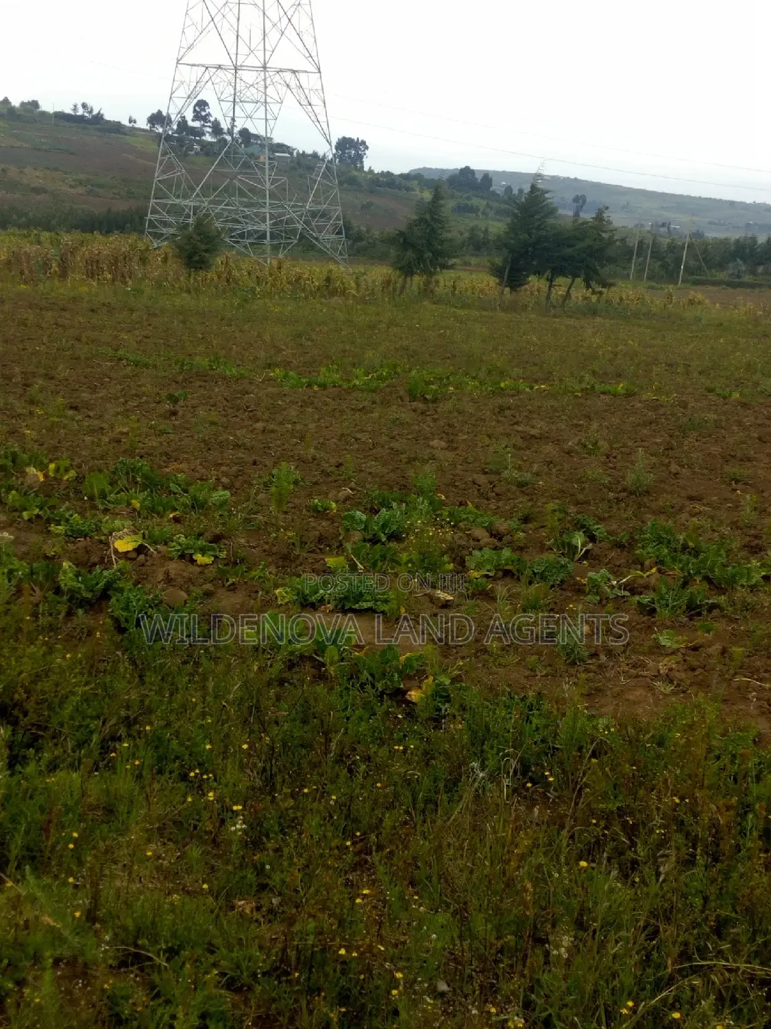 Munyu Naivasha Land for Sale - Discover Your Dream Property Today! in Naivasha