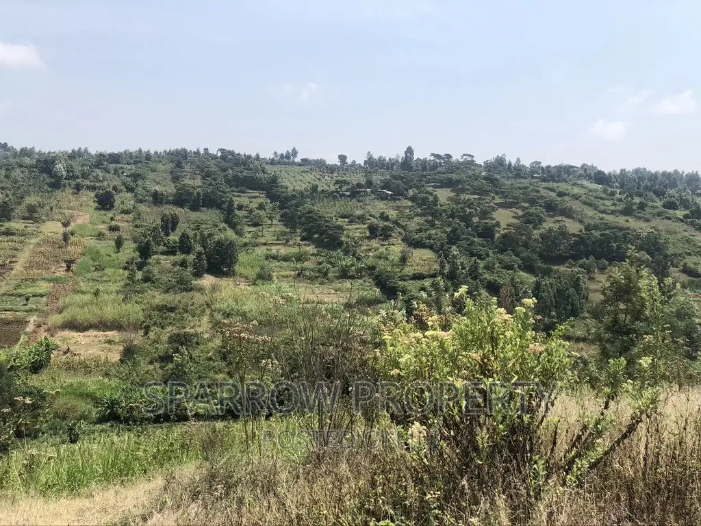 Land for Quick Purchase in Nyeri Kiganjo in Kiganjo