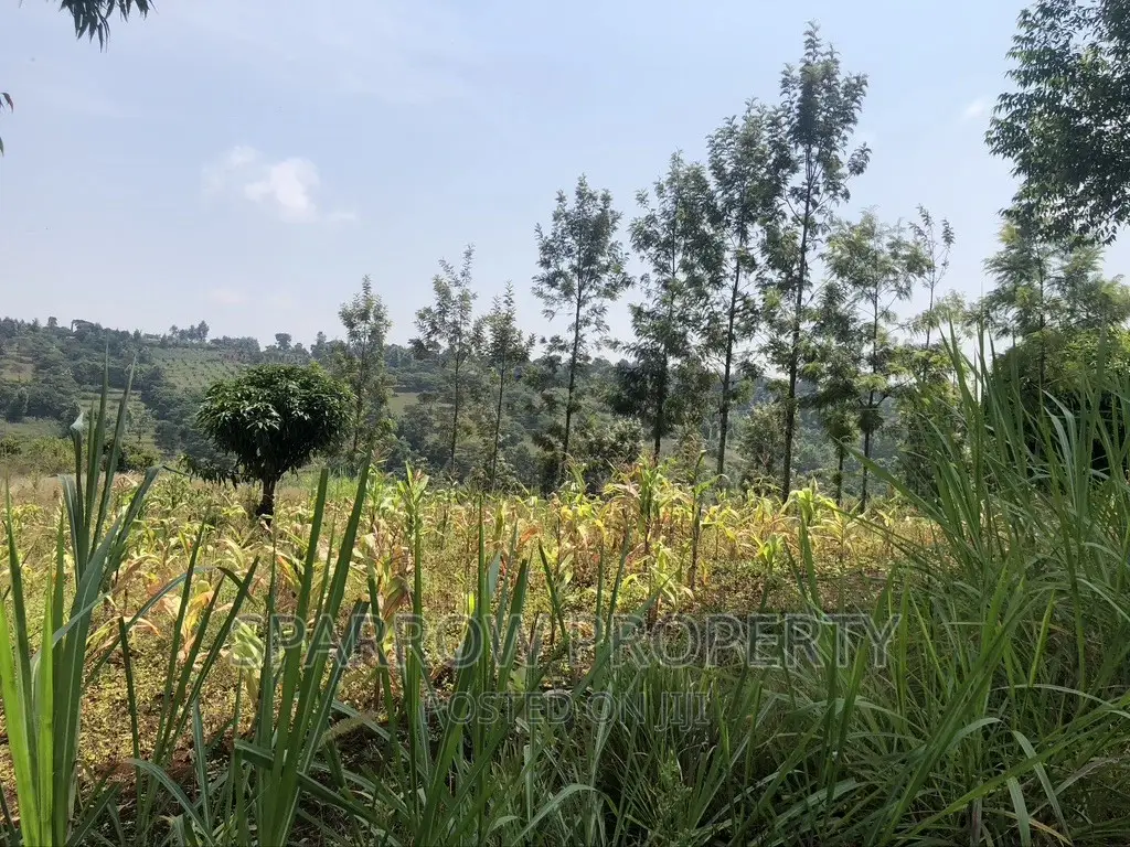 Land for Quick Purchase in Nyeri Kiganjo in Kiganjo