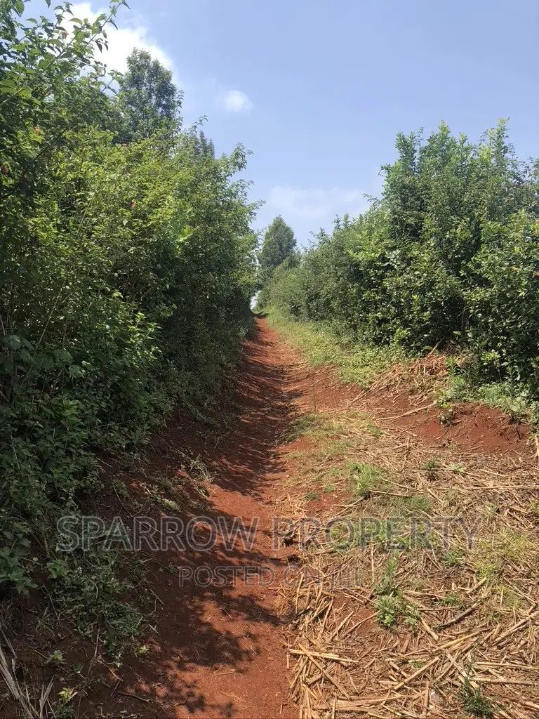 Land for Quick Purchase in Nyeri Kiganjo in Kiganjo