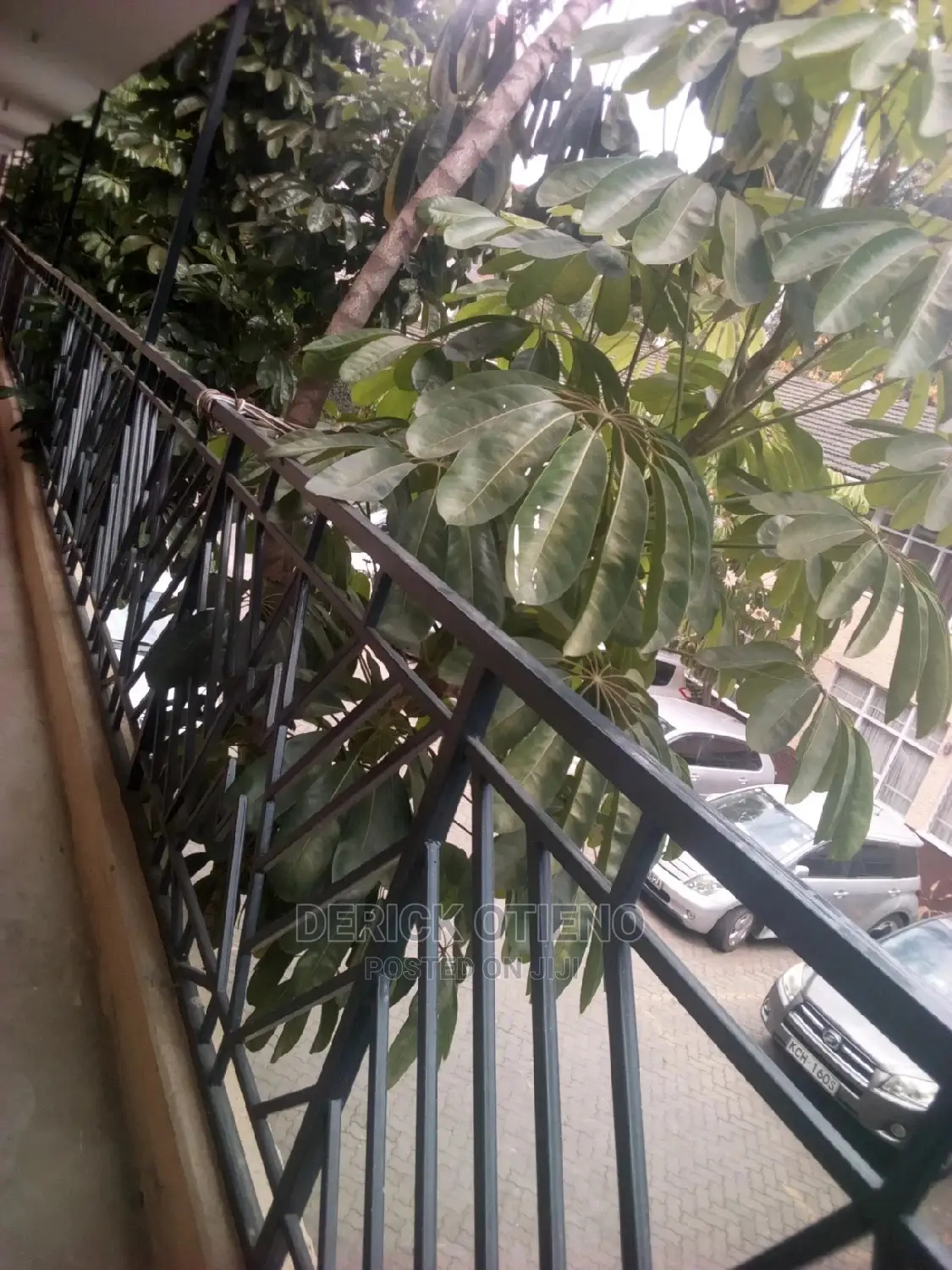 Contemporary 1-Bedroom Flat for Rent in Kilimani in Kilimani