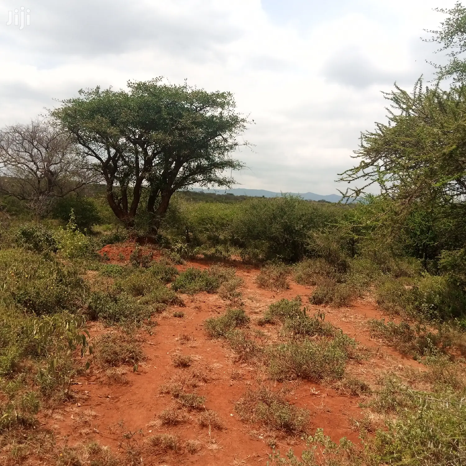 Prime 100-Acre Farming Land at Water Table: Opportunity for Agricultural Success in Kiserian