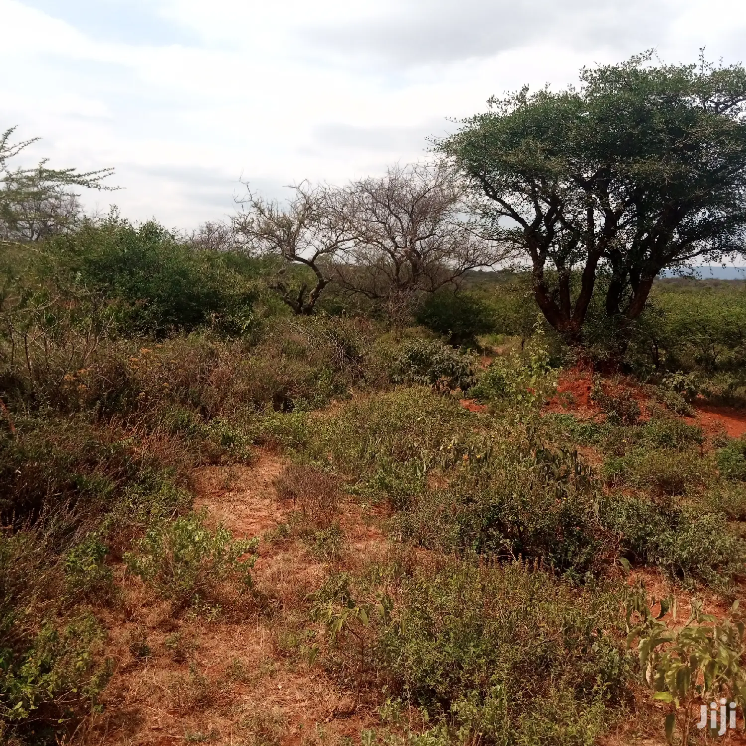 Prime 100-Acre Farming Land at Water Table: Opportunity for Agricultural Success in Kiserian
