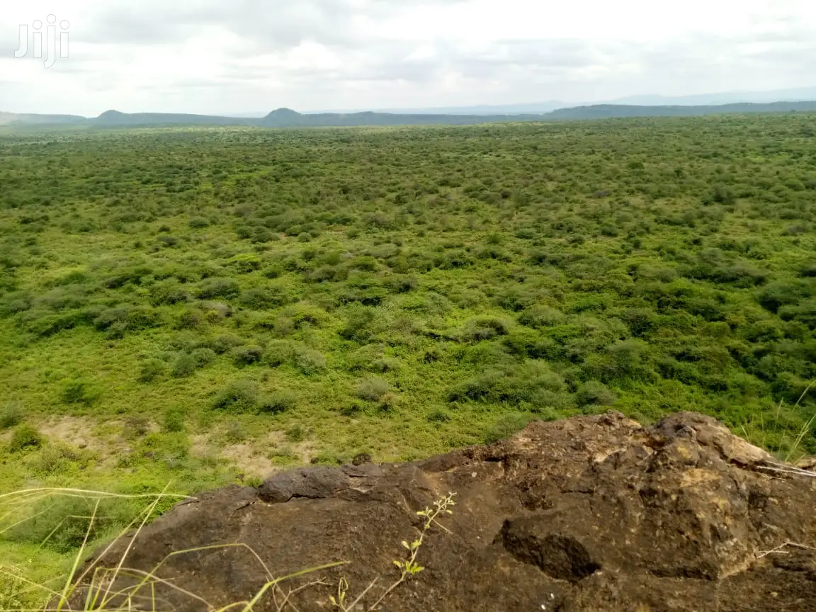 50 Acres Farmland in Ngoiyan - Ideal for Agricultural and Livestock Development in Ewuaso Oonkidong'I