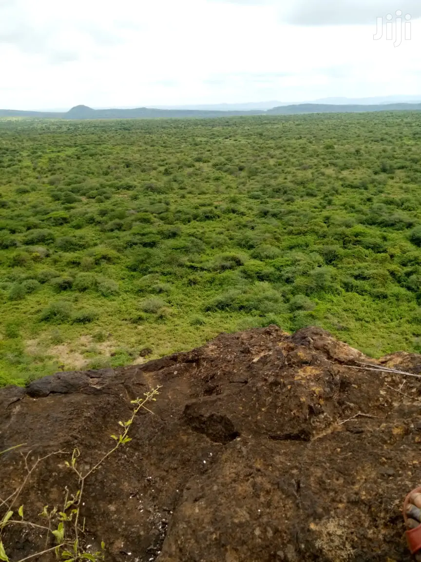 50 Acres Farmland in Ngoiyan - Ideal for Agricultural and Livestock Development in Ewuaso Oonkidong'I
