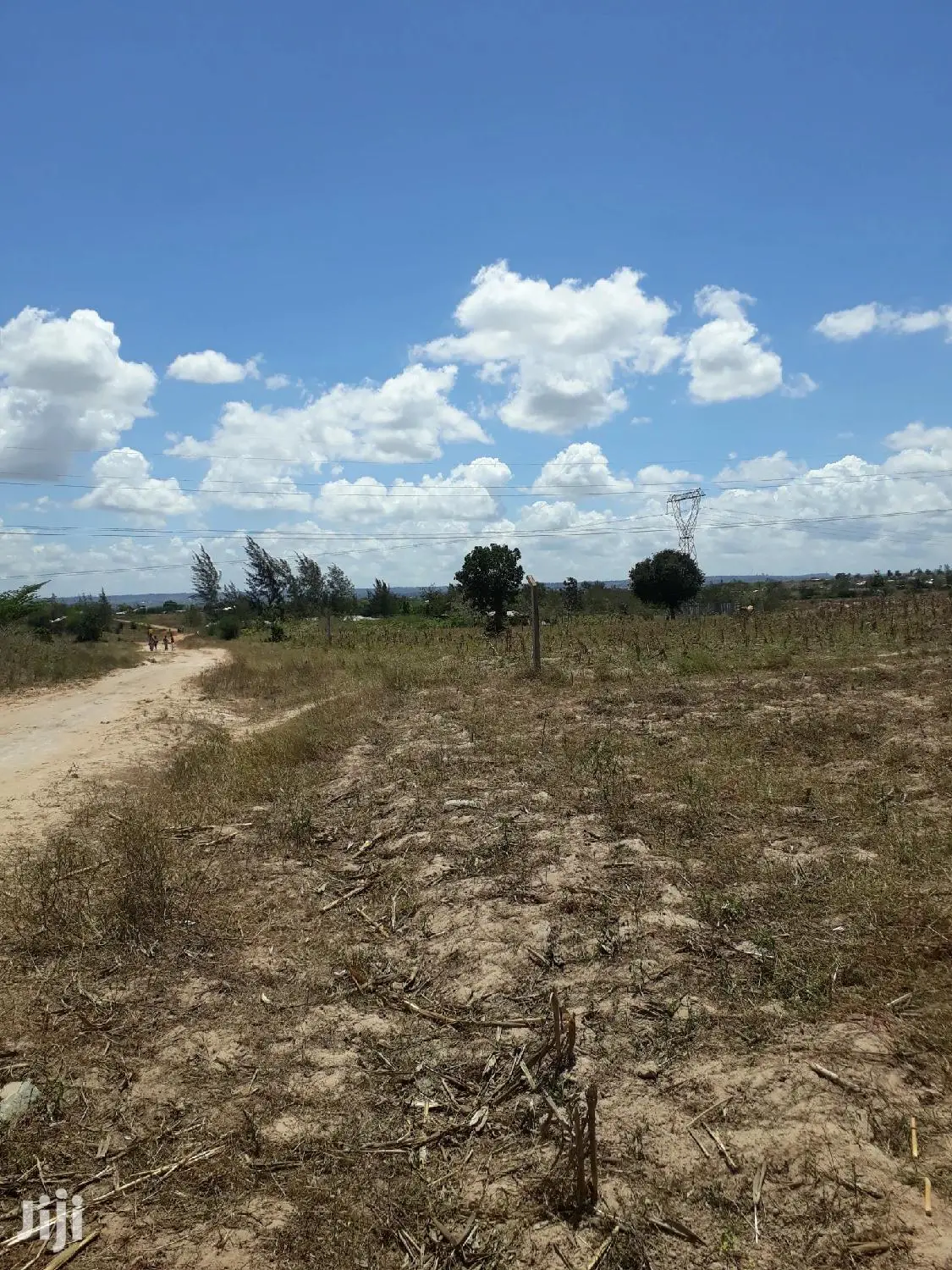 50x100 Mariakani Plots for Sale - Affordable Land Investment in Mariakani