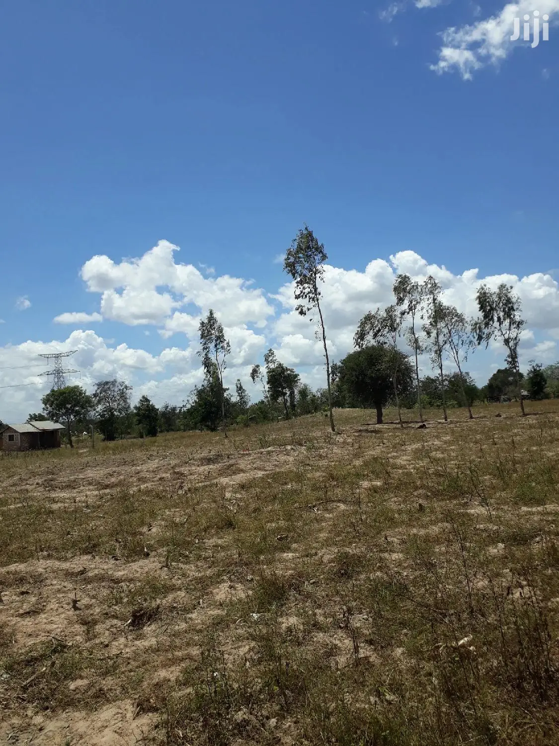 50x100 Mariakani Plots for Sale - Affordable Land Investment in Mariakani