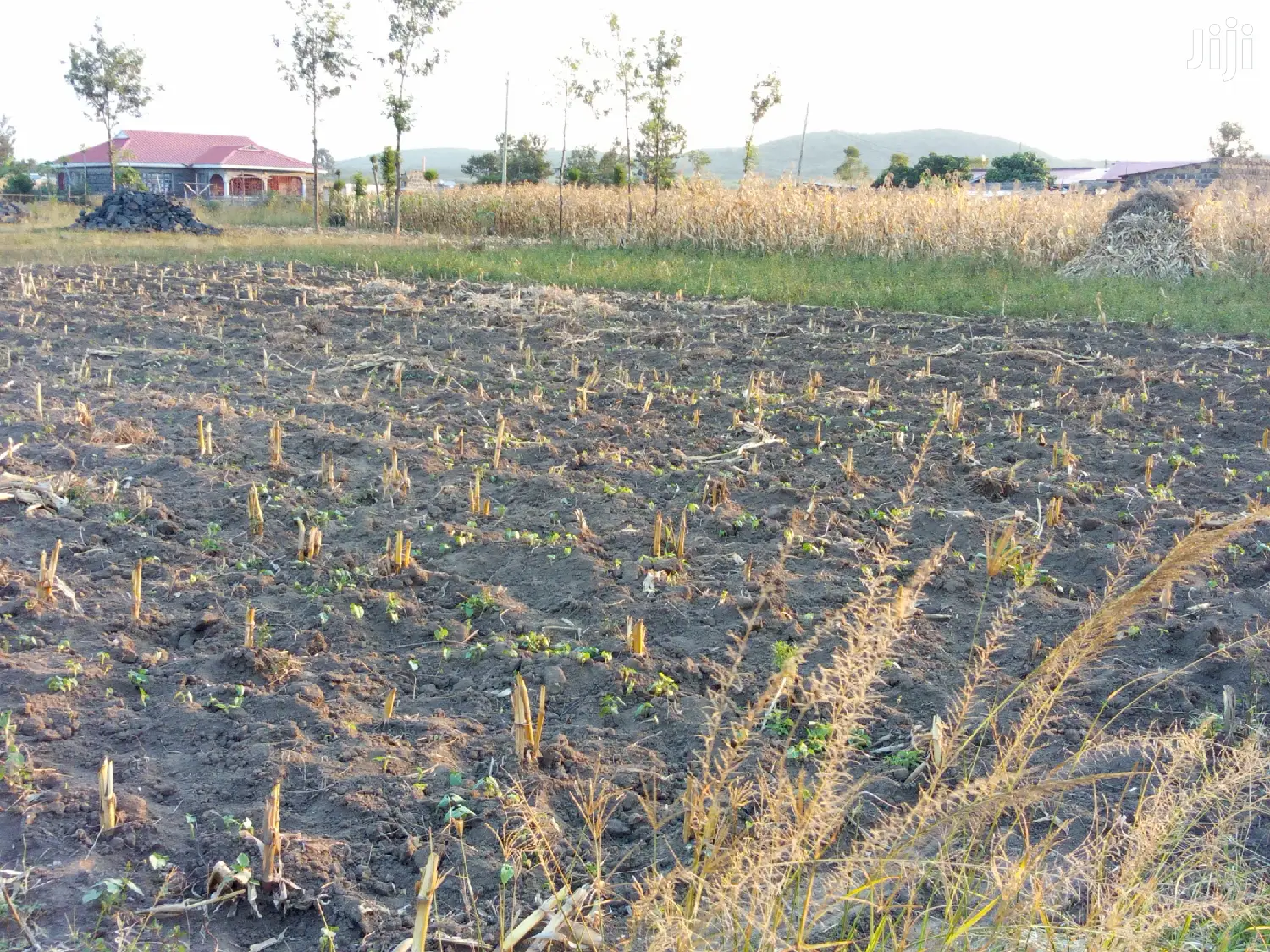 Plot for Sale in Pipeline Gorofa in Nakuru Town East