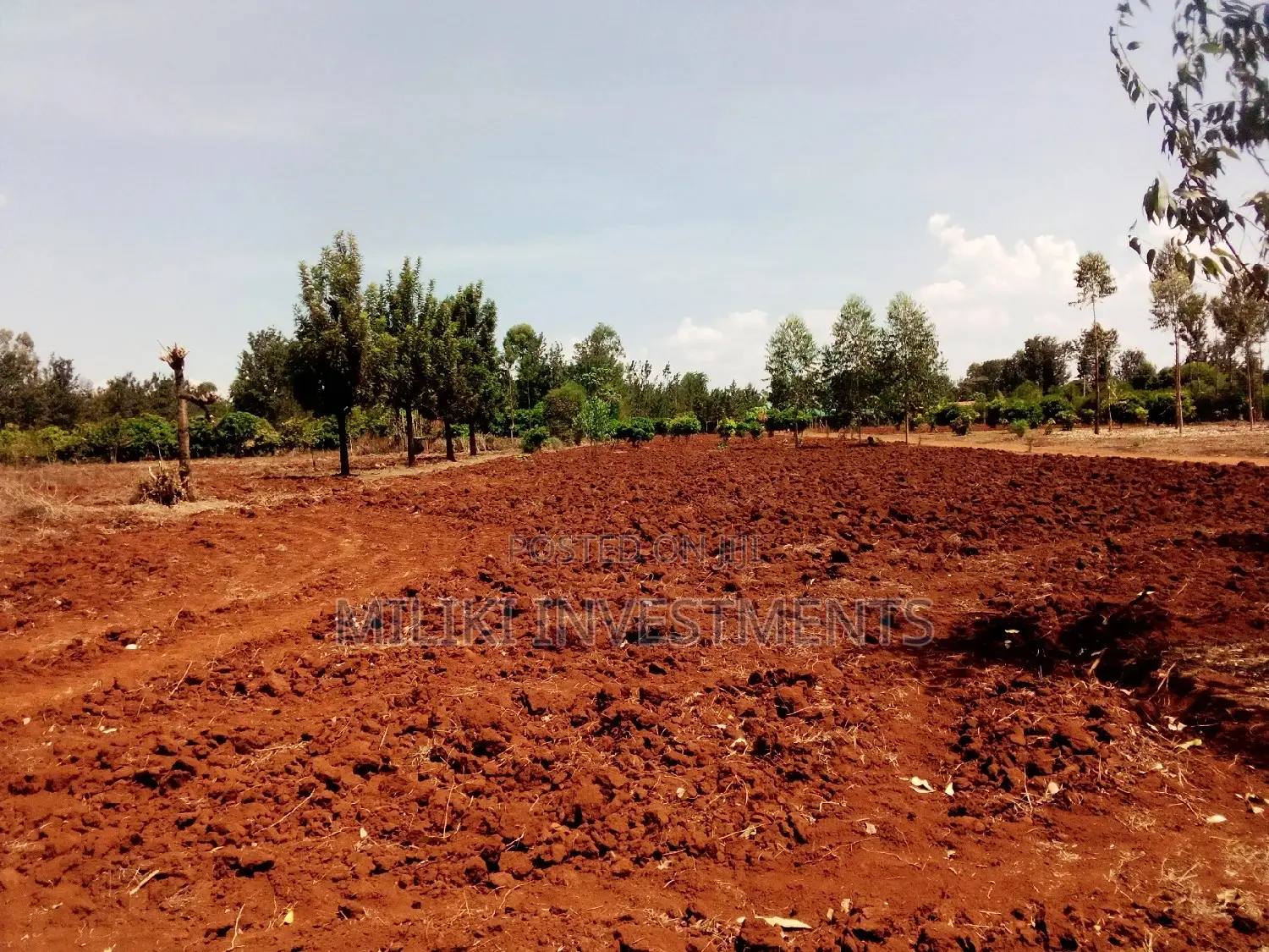 Spacious 50 ft x 130 ft Plot Available for Sale near Sagana/Mwea Junction (Makutano) in Mwea