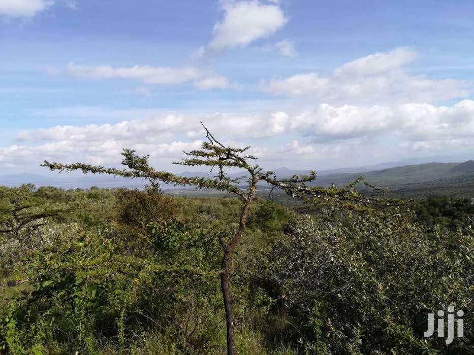 Naivasha Green Park: 5-acre Block for Sale - Invest in Your Future! in Naivasha East