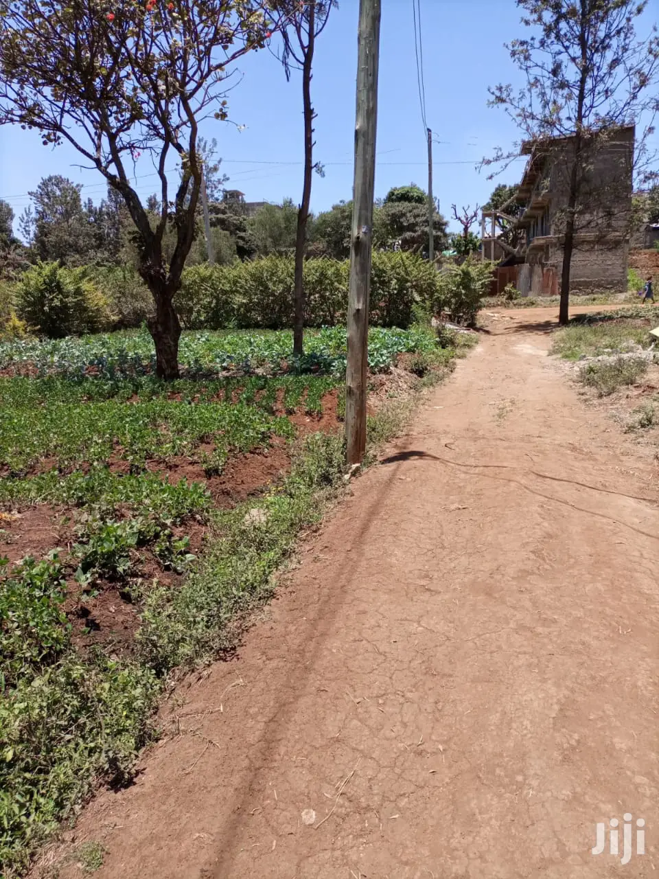 Ruaka Land for Flat Construction: 50x60 and 50x100 Plots For Sale in Ruaka