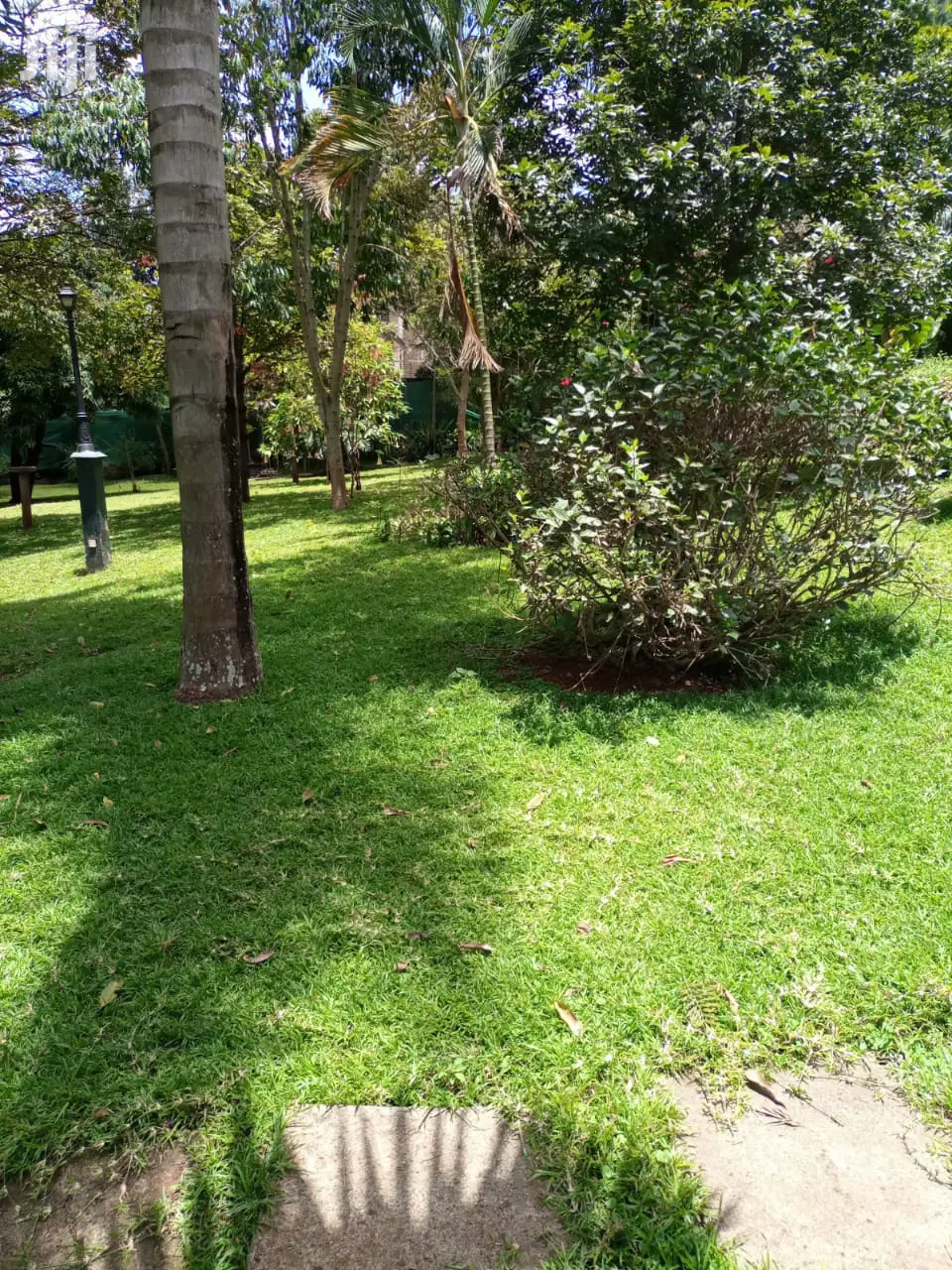 1/2 Acre Land in Ridgeways - Prime Location for Sale in Ridgeways