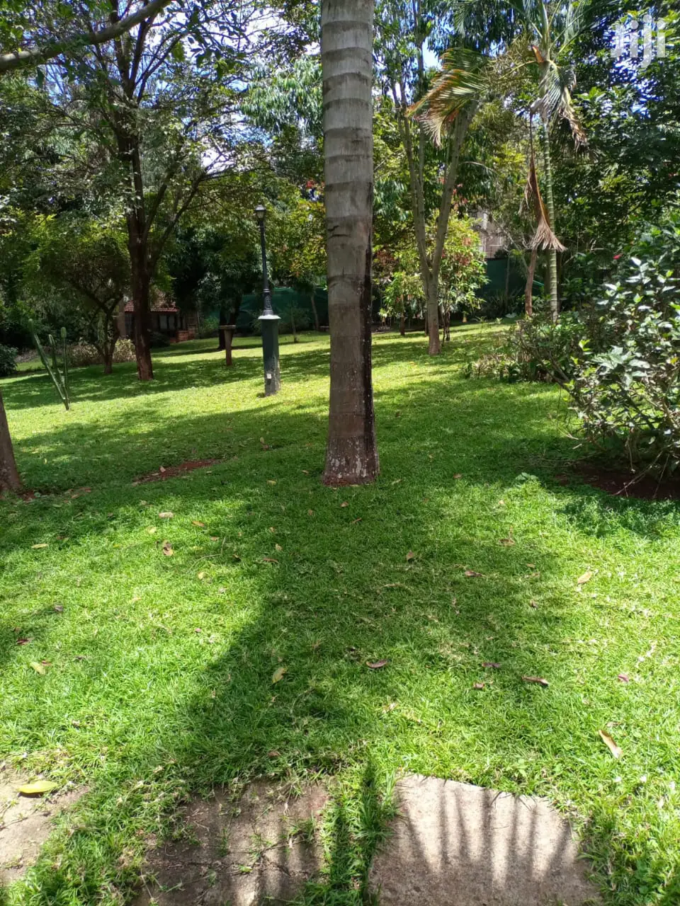 1/2 Acre Land in Ridgeways - Prime Location for Sale in Ridgeways