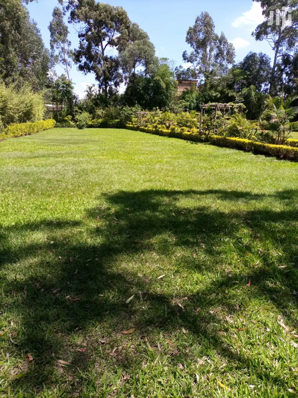 Prime 2-Lot Land Deal in Ridgeways - 1/2 Acre Each - For Sale Now in Ridgeways