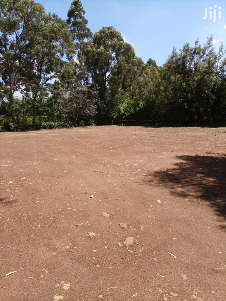 Prime 2-Lot Land Deal in Ridgeways - 1/2 Acre Each - For Sale Now in Ridgeways