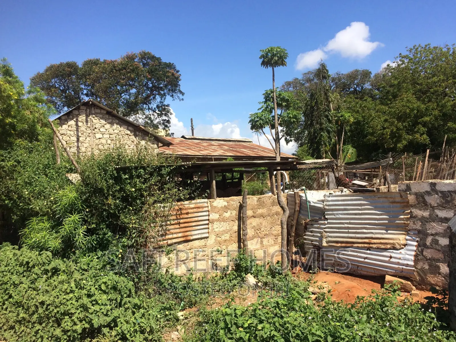 Kongowea Land for Sale: Prime Location Next to Kongowea Primary in Nyali