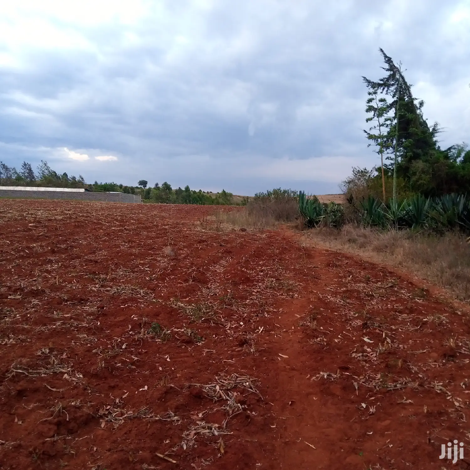 Sought-after 1/8 Acre Kibiko Land Listing at 2.5 Million in Ngong
