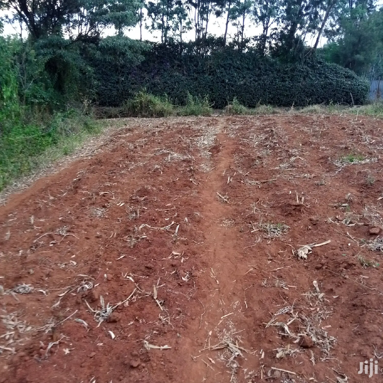 Sought-after 1/8 Acre Kibiko Land Listing at 2.5 Million in Ngong