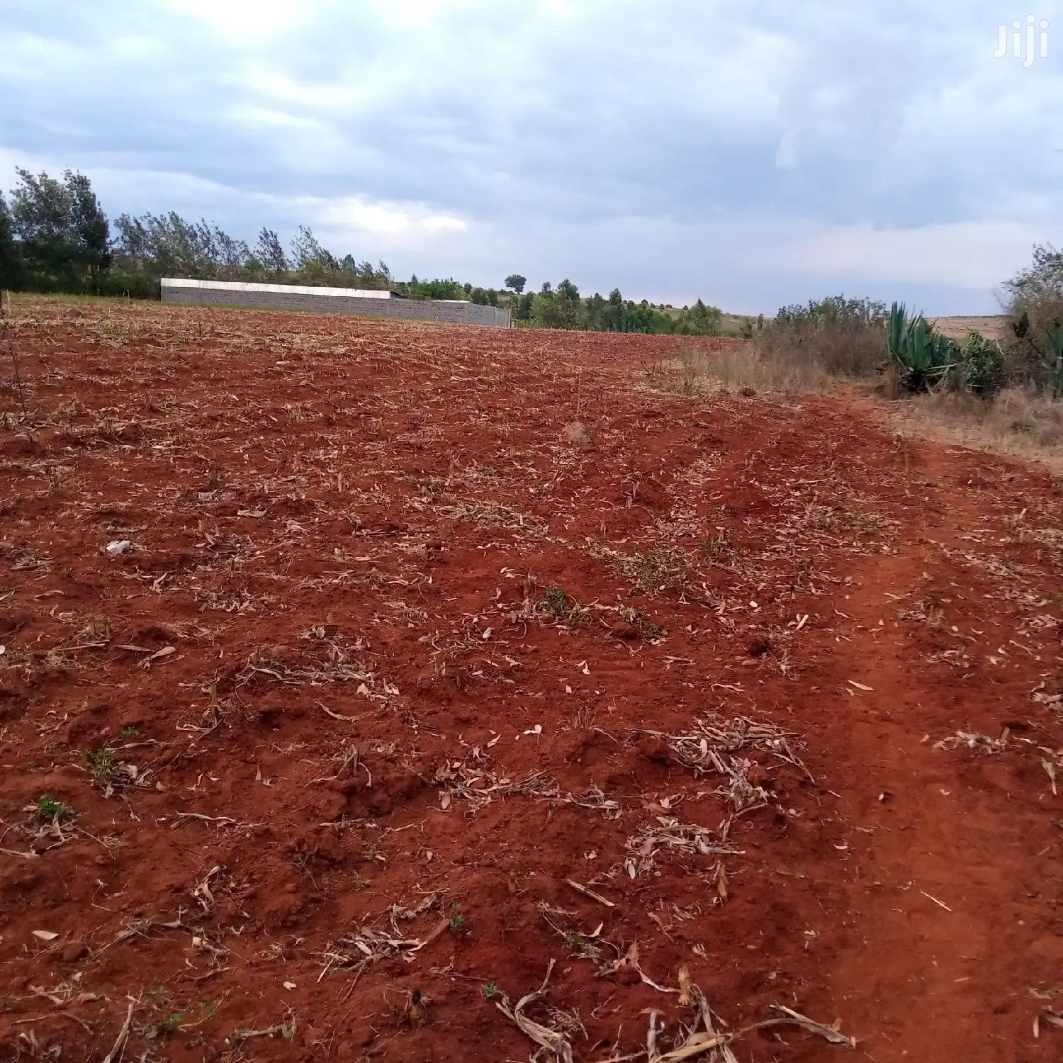 Sought-after 1/8 Acre Kibiko Land Listing at 2.5 Million in Ngong