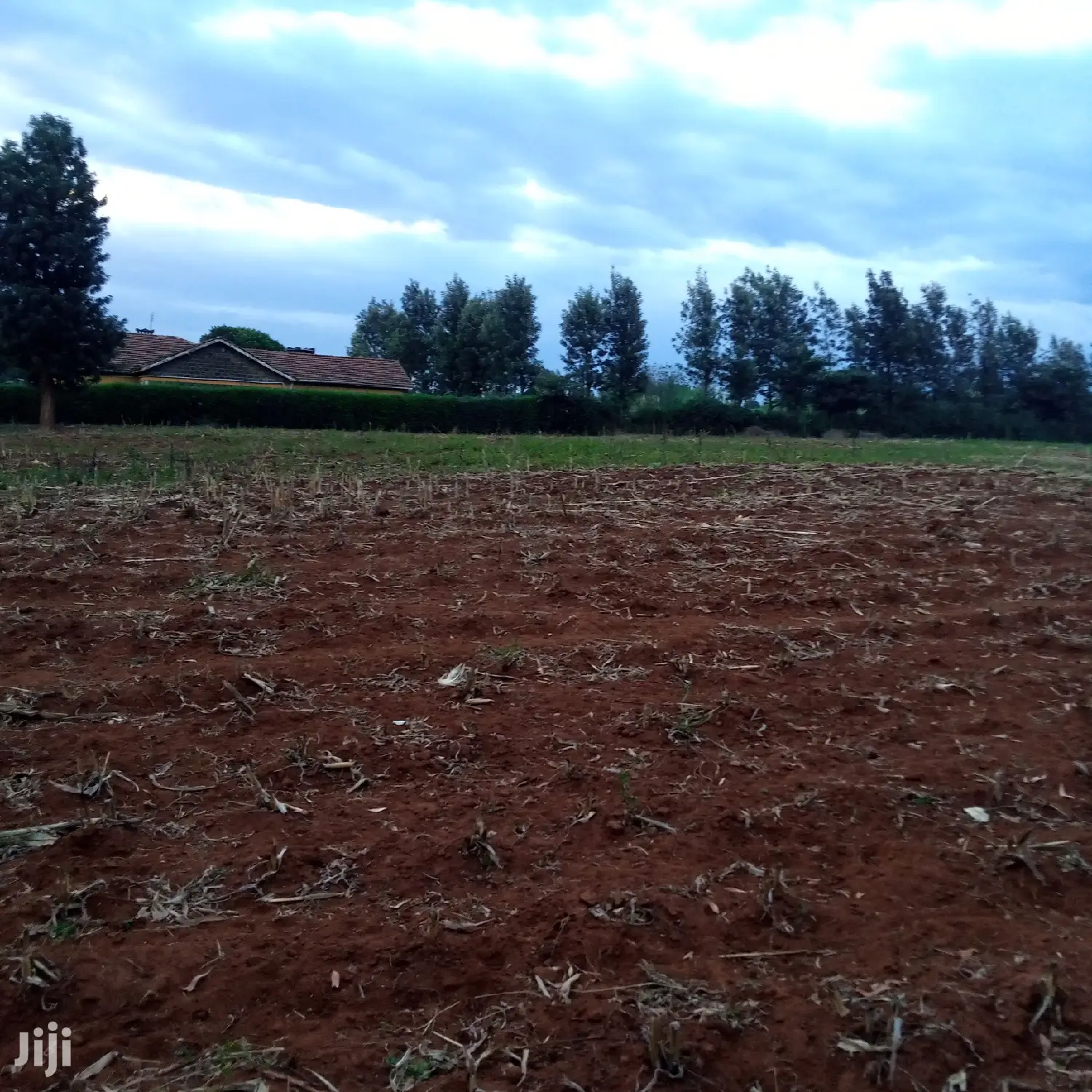 Sought-after 1/8 Acre Kibiko Land Listing at 2.5 Million in Ngong