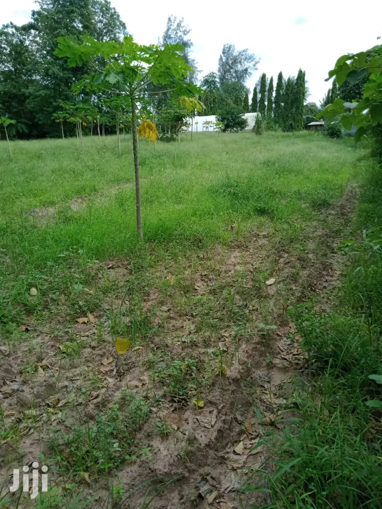 Agricultural Land for Sale in Mtwapa - 2 Acres in Mtwapa