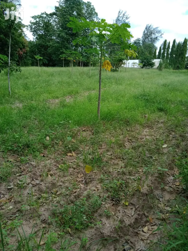 Agricultural Land for Sale in Mtwapa - 2 Acres in Mtwapa