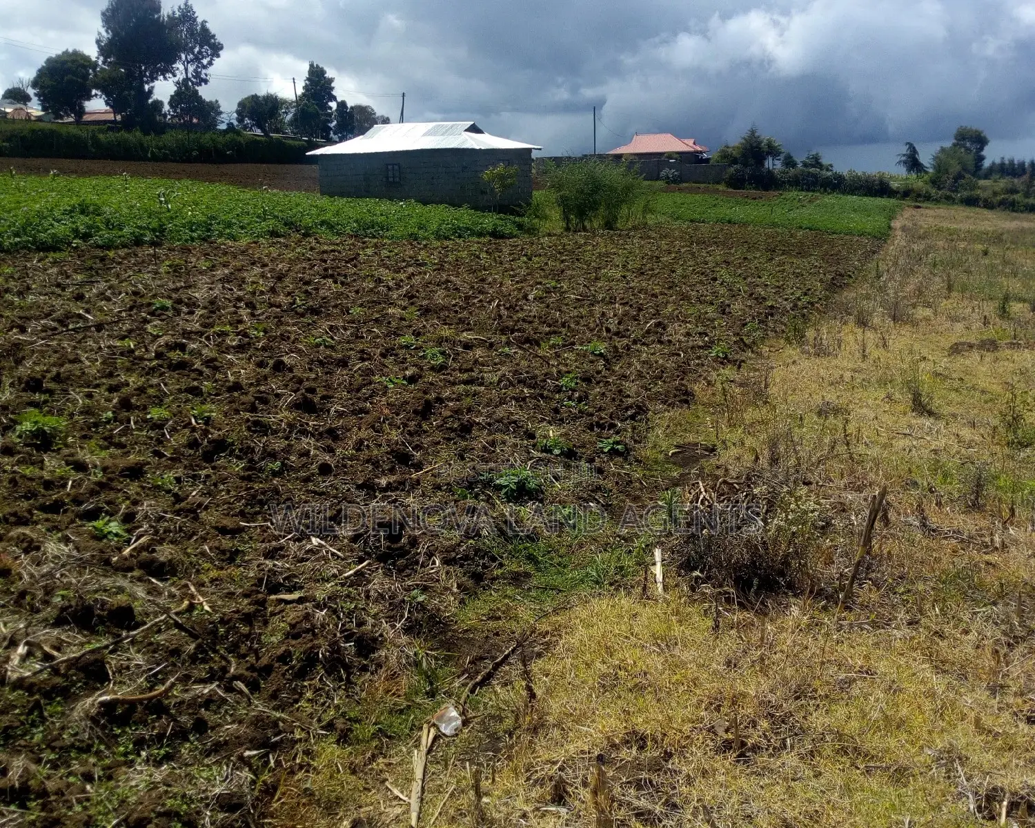 Plot Sale: Ihindu Naivasha Property for Sale in Naivasha