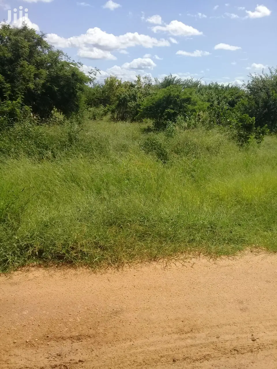 Malindi, Kilifi County: 20-Acre Plot Available for Purchase in Malindi