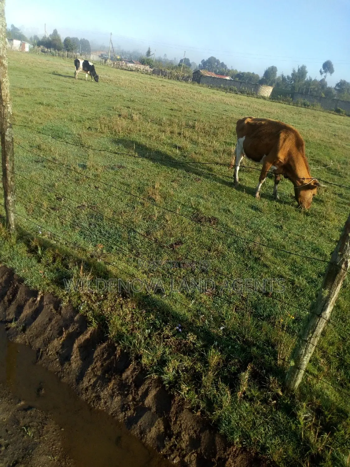 Buy Plote Land in Mtonyora Kinangop at Great Prices in Magumu