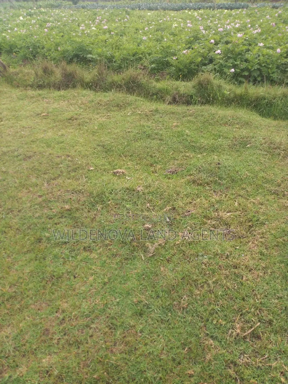 Magumu Land for Sale: Invest in a Prime Plot Today! in Magumu
