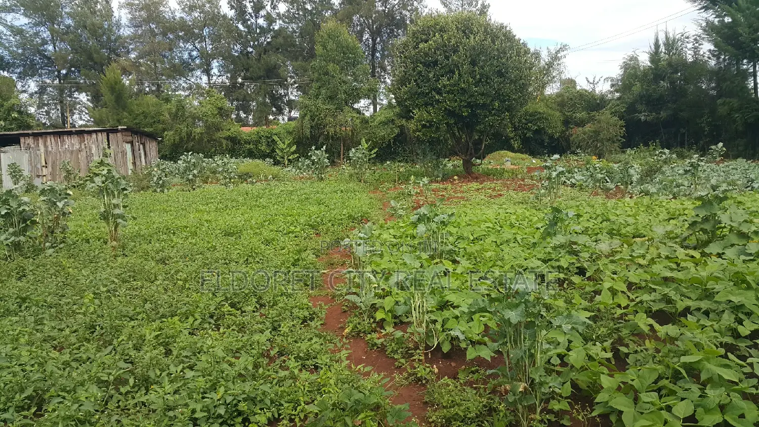 Half Acre Elgonview Property Meets Feeder Tarmac in Eldoret CBD